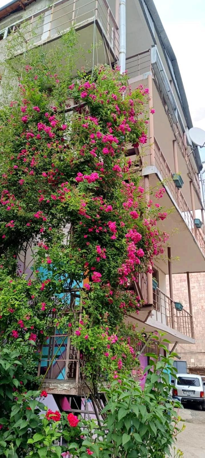 Asine Dilijan Bed and Breakfast Buitenkant foto